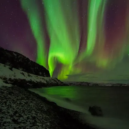 Arctic