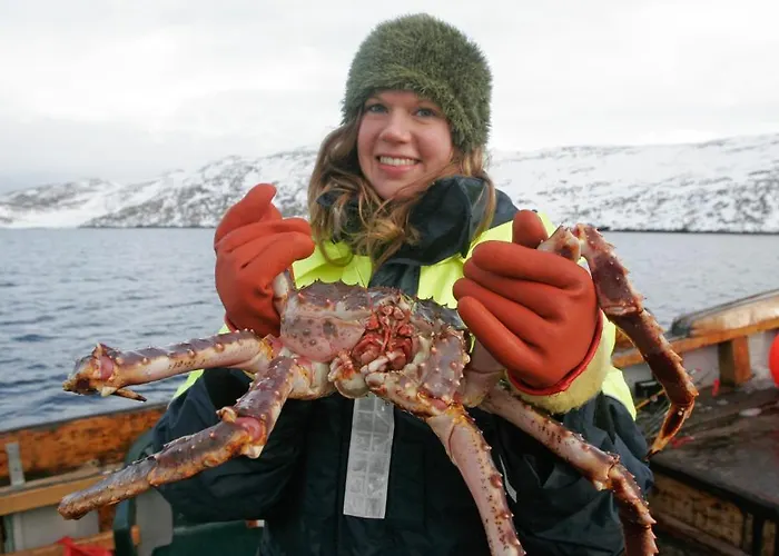 Arctic Отель Мехамн